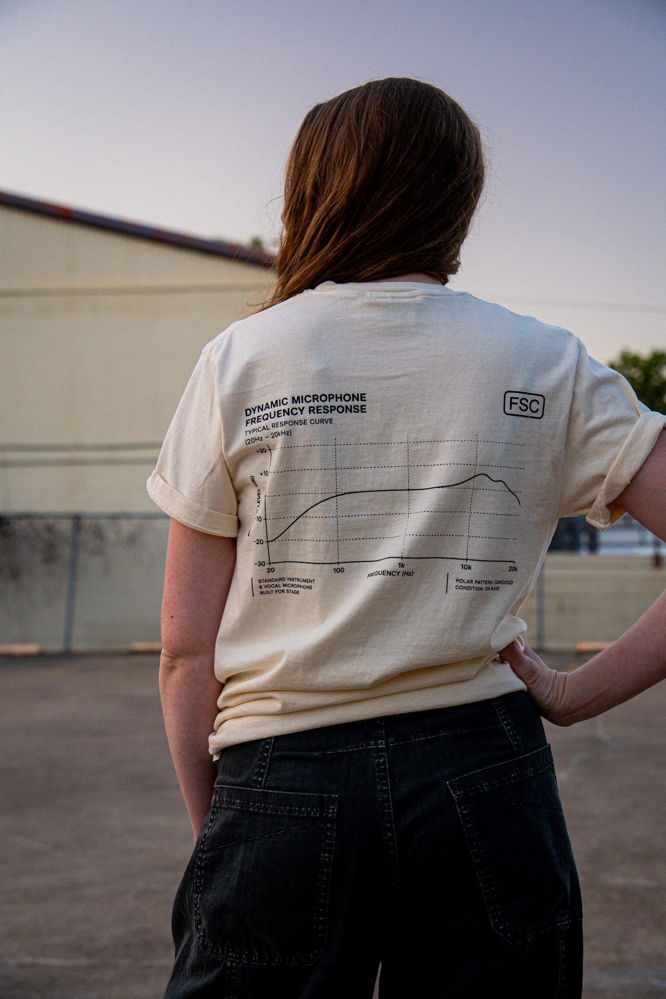 Frequency Response Diagram Tee